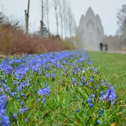 2018-04-14 Copenhagen/Utterslev Mose/DSC_0102.JPG